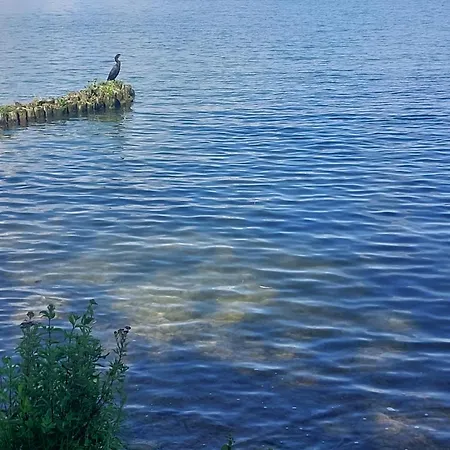 Mieszkanie 3 Pokojowe Na Wakacje Gizycko Exterior photo
